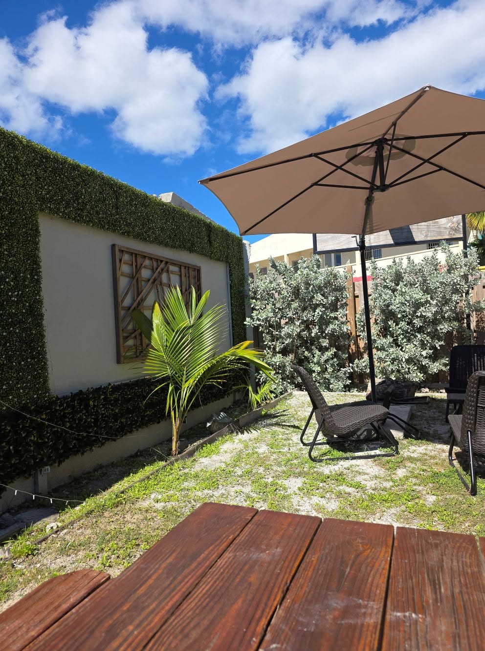 Lawn & Patio